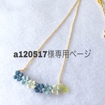 a120517様専用ページです