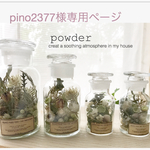 ボタニカルボトル薬瓶アソート