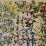 押し花素材 爽やか小花セット💐