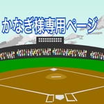 ⚾️かなぎ様専用ページ⚾️
