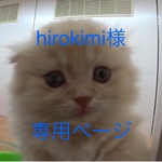 hirokimi様専用ページ