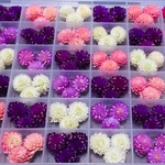 お花屋さんが作った千日紅のドライフラワー特大 Box入り