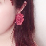 【送料無料!】ジニアのプリザイヤリング♡ピアス♡