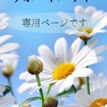 専用ページです◡̈⃝︎⋆︎*