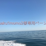 saku1-momo2様専用ページです
