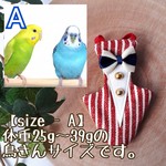 やんちゃなタキシード　　冠婚葬祭　スーツ　正装　バードスーツ　新品　セキセイインコ等
