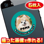 犬　名札　ステッカー/シール　オーダーメイド/オリジナル　スマホ/ガラケー　写真/名前入り　ピーコックグリーン（青緑色）