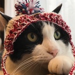 A&Kちゃんンにゃんこ帽子セット。