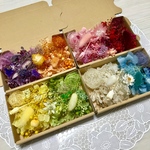 4箱セット＊カラフルハーバリウム 花材ドライフラワー   花材セット