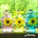 ハーバリウム✨【ひまわり畑2🌻】