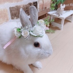 ♡うさぎ花冠♡