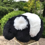 ばくちゃん②