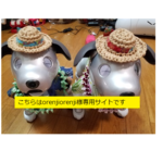 お客様専用ページ