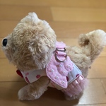 小型犬用天使のハーネス