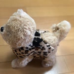小型犬用天使のハーネス