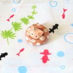 浮き輪にゃんこ