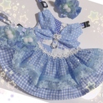 ✩.*˚  hitomi様オーダー品  ✩.*˚