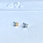 星のプチステンレスピアス