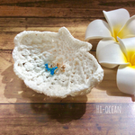 シェルトレイM アクセサリートレー