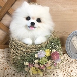 羊毛フェルト オーダーフラワーバスケット