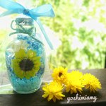ハーバリウム✨【ひまわり畑9🌻】