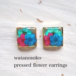 しかく押し花耳かざり（イヤリングorピアス）　その8