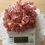 ハーバリウム  シェア  花材 ビビアン付き