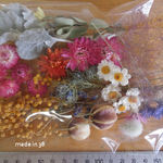 ドライフラワー ミモザ 貝細工 花かんざし スモークツリー ニゲラ 詰め合わせ  アソート 花材
