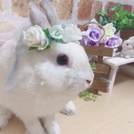 ♡うさぎ花冠♡ベール♡