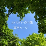 ganbare-s5n1様 専用ページ