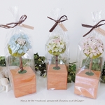 [トピアリー]ある森の小さな樹　-3本セット C ver.2-