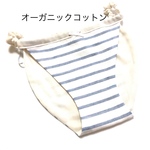 オーガニックコットン ふんどしパンツ ブルーボーダー