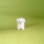 マルチーズ パピー 羊毛フェルト