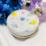 再販☆セキセイインコの小物入れ②