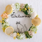 のんびり猫の Welcome レモンリース