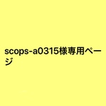専用ページ