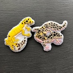 専用掲載