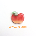 みかん様 専用 りんごブローチ