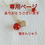 【kakushin様　専用ご確認ページ】