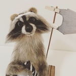 羊毛フェルト  オーダページ FOR  P IG さん