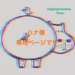 ハナ様専用ぺージです