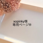 xopinky様専用ページ❁