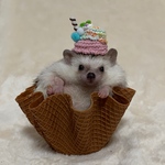 （発送は来週）【クッキーカラーカップ深】ちゅぴぽのアイス屋さん（カップタイプ深）