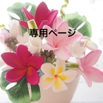 専用ページ プルメリアのアレンジ
