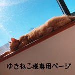 ゆきねこ様専用ページ