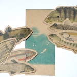 魚のメッセージカード<淡水の魚>