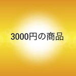 3000円