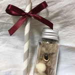 タピオカほこり虫（こげ茶黒）