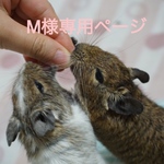 M様専用ページ