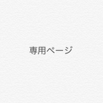 専用ページ